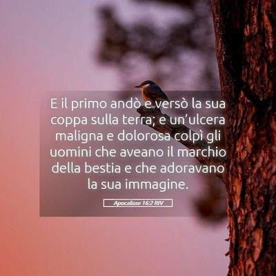 Picture 05 - Apocalisse 16:2 RIV - E il primo andò e versò la sua coppa sulla - Bible Verse Picture