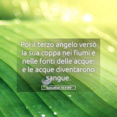 Picture 05 - Apocalisse 16:4 RIV - Poi il terzo angelo versò la sua coppa nei fiumi - Bible Verse Picture