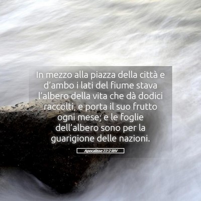 Picture 05 - Apocalisse 22:2 RIV - In mezzo alla piazza della città e d’ambo i - Bible Verse Picture