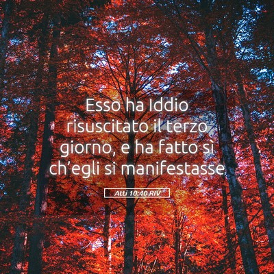 Picture 05 - Atti 10:40 RIV - Esso ha Iddio risuscitato il terzo giorno, e ha - Bible Verse Picture