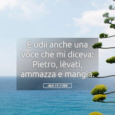 Picture 05 - Atti 11:7 RIV - E udii anche una voce che mi diceva: Pietro, - Bible Verse Picture