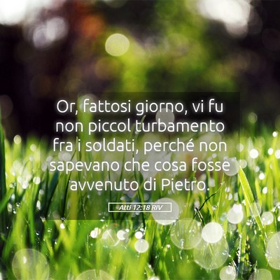 Picture 05 - Atti 12:18 RIV - Or, fattosi giorno, vi fu non piccol turbamento - Bible Verse Picture