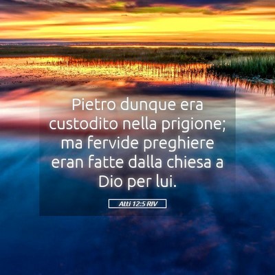 Picture 05 - Atti 12:5 RIV - Pietro dunque era custodito nella prigione; ma - Bible Verse Picture