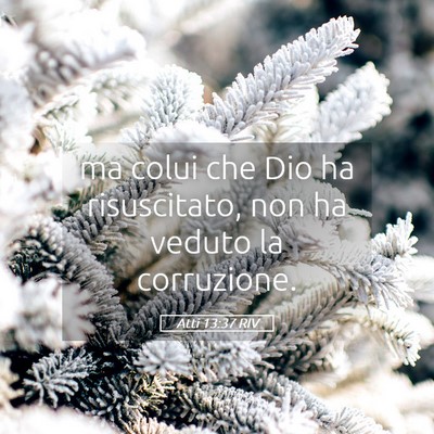 Picture 05 - Atti 13:37 RIV - ma colui che Dio ha risuscitato, non ha veduto la - Bible Verse Picture