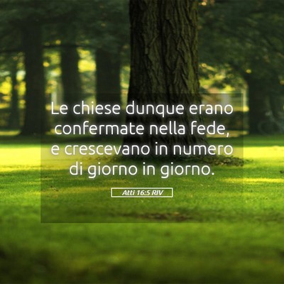 Picture 05 - Atti 16:5 RIV - Le chiese dunque erano confermate nella fede, e - Bible Verse Picture