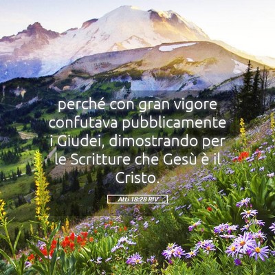 Picture 05 - Atti 18:28 RIV - perché con gran vigore confutava pubblicamente i - Bible Verse Picture