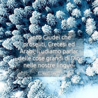 Picture 05 - Atti 2:11 RIV - tanto Giudei che proseliti, Cretesi ed Arabi, li - Bible Verse Picture