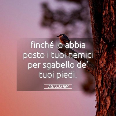 Picture 05 - Atti 2:35 RIV - finché io abbia posto i tuoi nemici per sgabello - Bible Verse Picture
