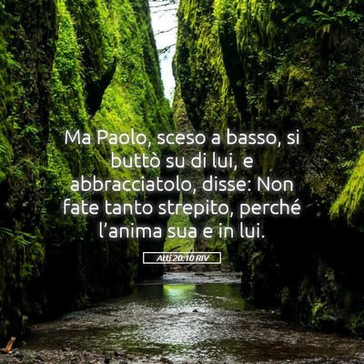 Picture 05 - Atti 20:10 RIV - Ma Paolo, sceso a basso, si buttò su di lui, e - Bible Verse Picture
