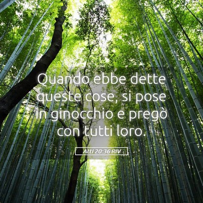 Picture 05 - Atti 20:36 RIV - Quando ebbe dette queste cose, si pose in - Bible Verse Picture