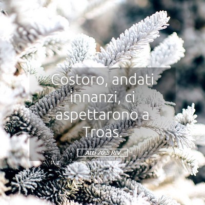 Picture 05 - Atti 20:5 RIV - Costoro, andati innanzi, ci aspettarono a - Bible Verse Picture