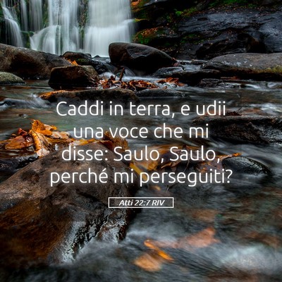 Picture 05 - Atti 22:7 RIV - Caddi in terra, e udii una voce che mi disse: - Bible Verse Picture