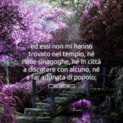 Picture 05 - Atti 24:12 RIV - ed essi non mi hanno trovato nel tempio, né - Bible Verse Picture