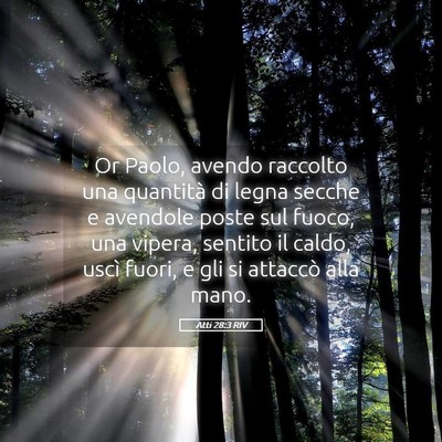 Picture 05 - Atti 28:3 RIV - Or Paolo, avendo raccolto una quantità di legna - Bible Verse Picture