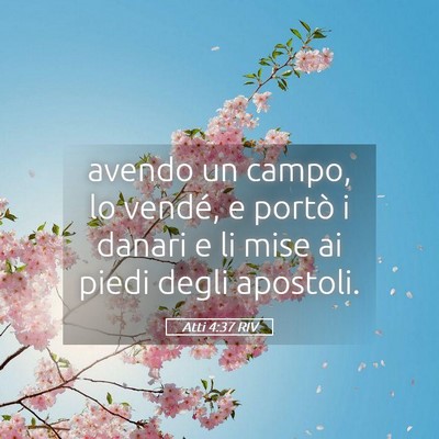 Picture 05 - Atti 4:37 RIV - avendo un campo, lo vendé, e portò i danari e - Bible Verse Picture