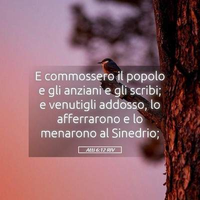 Picture 05 - Atti 6:12 RIV - E commossero il popolo e gli anziani e gli - Bible Verse Picture