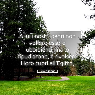 Picture 05 - Atti 7:39 RIV - A lui i nostri padri non vollero essere - Bible Verse Picture