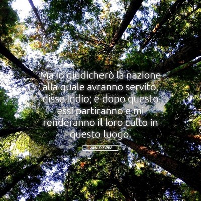 Picture 05 - Atti 7:7 RIV - Ma io giudicherò la nazione alla quale avranno - Bible Verse Picture