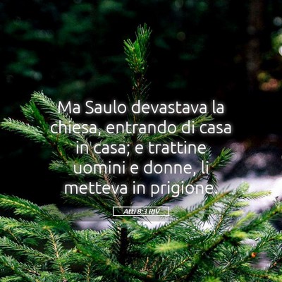 Picture 05 - Atti 8:3 RIV - Ma Saulo devastava la chiesa, entrando di casa in - Bible Verse Picture
