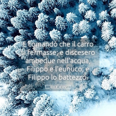 Picture 05 - Atti 8:38 RIV - E comandò che il carro si fermasse; e discesero - Bible Verse Picture
