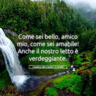 Picture 05 - Cantico dei Cantici 1:16 RIV - Come sei bello, amico mio, come sei amabile! - Bible Verse Picture