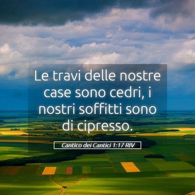 Picture 05 - Cantico dei Cantici 1:17 RIV - Le travi delle nostre case sono cedri, i nostri - Bible Verse Picture
