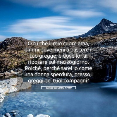 Picture 05 - Cantico dei Cantici 1:7 RIV - O tu che il mio cuore ama, dimmi dove meni a - Bible Verse Picture