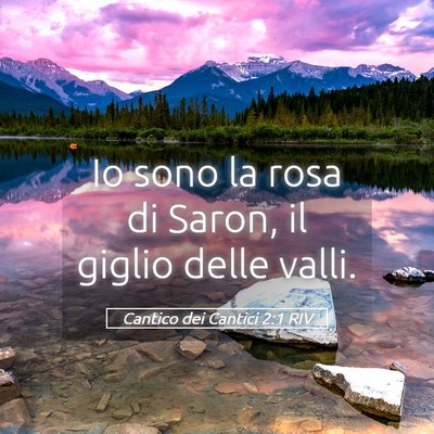 Picture 05 - Cantico dei Cantici 2:1 RIV - Io sono la rosa di Saron, il giglio delle - Bible Verse Picture