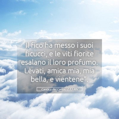 Picture 05 - Cantico dei Cantici 2:13 RIV - Il fico ha messo i suoi ficucci, e le viti - Bible Verse Picture