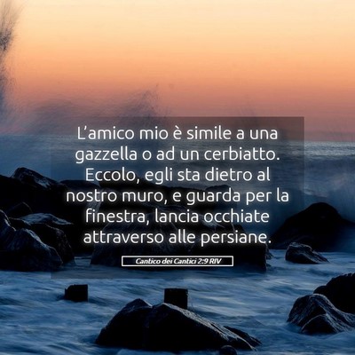 Picture 05 - Cantico dei Cantici 2:9 RIV - L’amico mio è simile a una gazzella o ad un - Bible Verse Picture