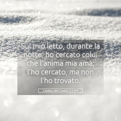 Picture 05 - Cantico dei Cantici 3:1 RIV - Sul mio letto, durante la notte, ho cercato colui - Bible Verse Picture