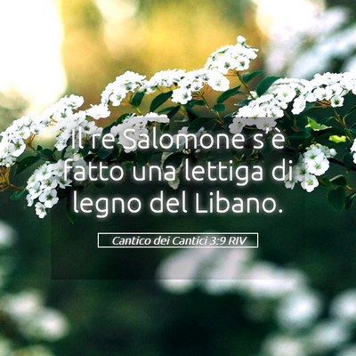 Picture 05 - Cantico dei Cantici 3:9 RIV - Il re Salomone s’è fatto una lettiga di legno - Bible Verse Picture