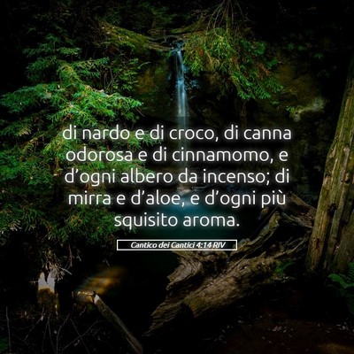Picture 05 - Cantico dei Cantici 4:14 RIV - di nardo e di croco, di canna odorosa e di - Bible Verse Picture
