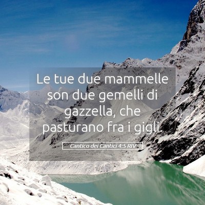 Picture 05 - Cantico dei Cantici 4:5 RIV - Le tue due mammelle son due gemelli di gazzella, - Bible Verse Picture