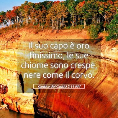 Picture 05 - Cantico dei Cantici 5:11 RIV - Il suo capo è oro finissimo, le sue chiome sono - Bible Verse Picture