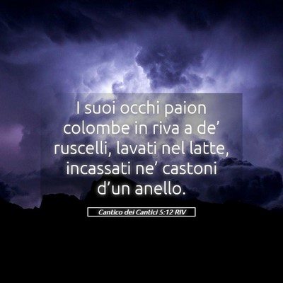Picture 05 - Cantico dei Cantici 5:12 RIV - I suoi occhi paion colombe in riva a de’ - Bible Verse Picture