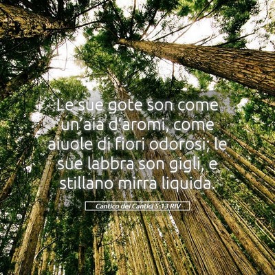 Picture 05 - Cantico dei Cantici 5:13 RIV - Le sue gote son come un’aia d’aromi, come - Bible Verse Picture