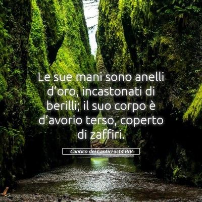 Picture 05 - Cantico dei Cantici 5:14 RIV - Le sue mani sono anelli d’oro, incastonati di - Bible Verse Picture