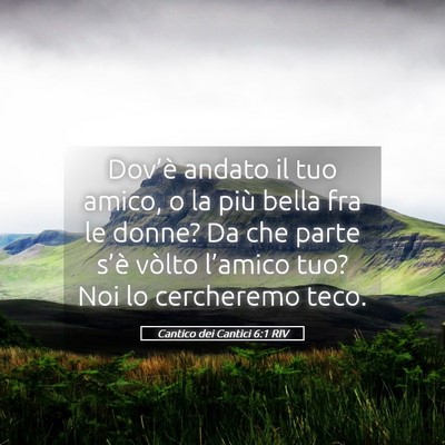 Picture 05 - Cantico dei Cantici 6:1 RIV - Dov’è andato il tuo amico, o la più bella fra - Bible Verse Picture