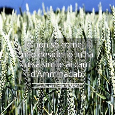 Picture 05 - Cantico dei Cantici 6:12 RIV - Io non so come, il mio desiderio m’ha resa - Bible Verse Picture