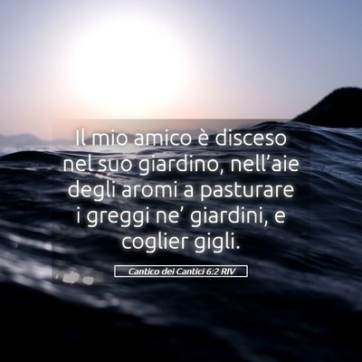 Picture 05 - Cantico dei Cantici 6:2 RIV - Il mio amico è disceso nel suo giardino, - Bible Verse Picture