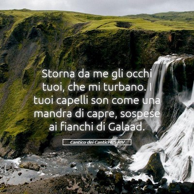 Picture 05 - Cantico dei Cantici 6:5 RIV - Storna da me gli occhi tuoi, che mi turbano. I - Bible Verse Picture