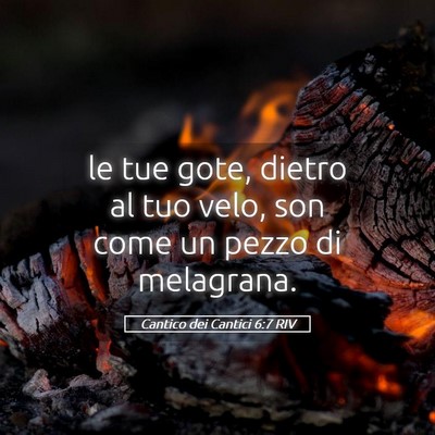 Picture 05 - Cantico dei Cantici 6:7 RIV - le tue gote, dietro al tuo velo, son come un - Bible Verse Picture