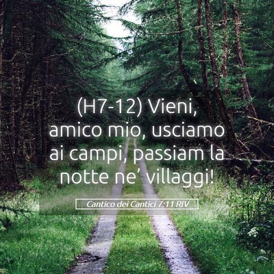 Picture 05 - Cantico dei Cantici 7:11 RIV - (H7-12) Vieni, amico mio, usciamo ai campi, - Bible Verse Picture