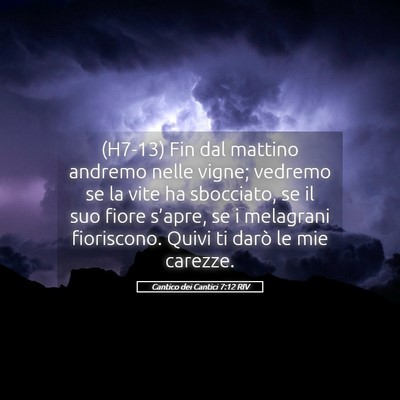 Picture 05 - Cantico dei Cantici 7:12 RIV - (H7-13) Fin dal mattino andremo nelle vigne; - Bible Verse Picture