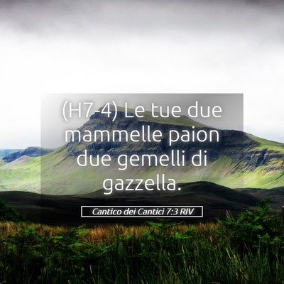 Picture 05 - Cantico dei Cantici 7:3 RIV - (H7-4) Le tue due mammelle paion due gemelli di - Bible Verse Picture
