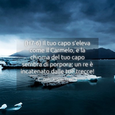 Picture 05 - Cantico dei Cantici 7:5 RIV - (H7-6) Il tuo capo s’eleva come il Carmelo, e - Bible Verse Picture