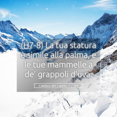 Picture 05 - Cantico dei Cantici 7:7 RIV - (H7-8) La tua statura è simile alla palma, e le - Bible Verse Picture