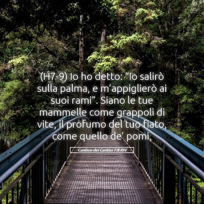 Picture 05 - Cantico dei Cantici 7:8 RIV - (H7-9) Io ho detto: “Io salirò sulla palma, e - Bible Verse Picture