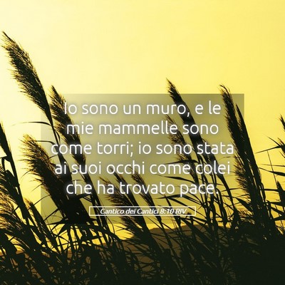 Picture 05 - Cantico dei Cantici 8:10 RIV - Io sono un muro, e le mie mammelle sono come - Bible Verse Picture